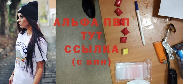 гашик Алексин