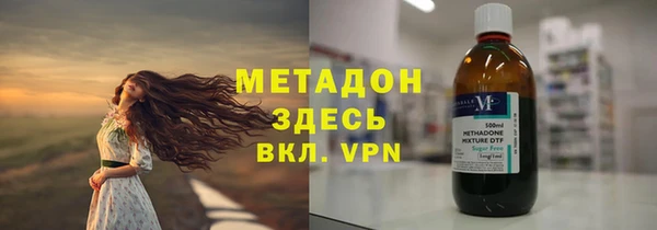гашик Алексин