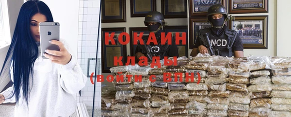дживик Абаза