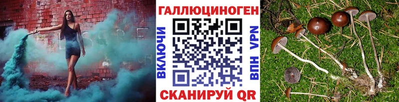 Псилоцибиновые грибы Cubensis закладки blacksprut сайт Дмитров