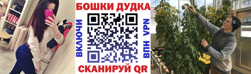 цены   Дмитров  Конопля Bruce Banner 
